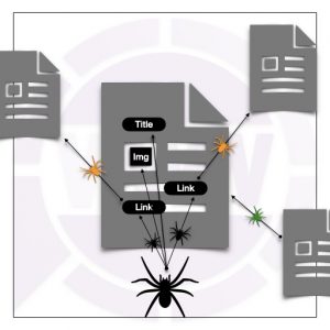 google spiders