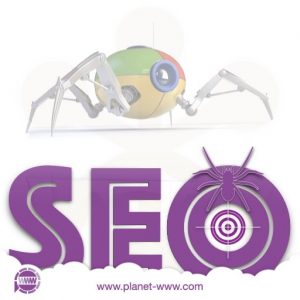 how search engine works