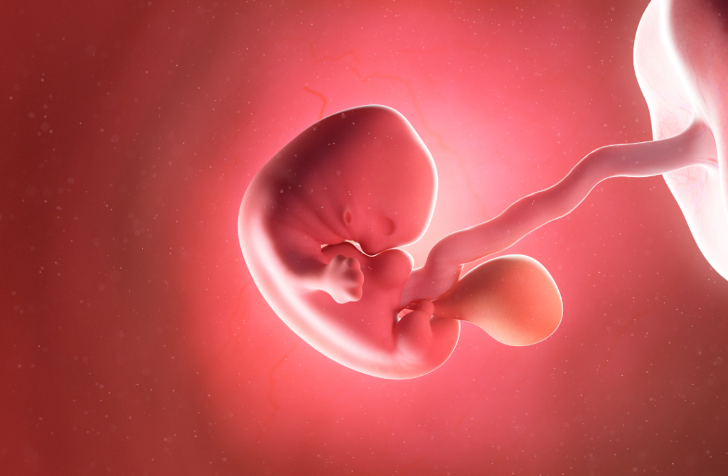 مقاومة الأنسولين عند النساء والحمل