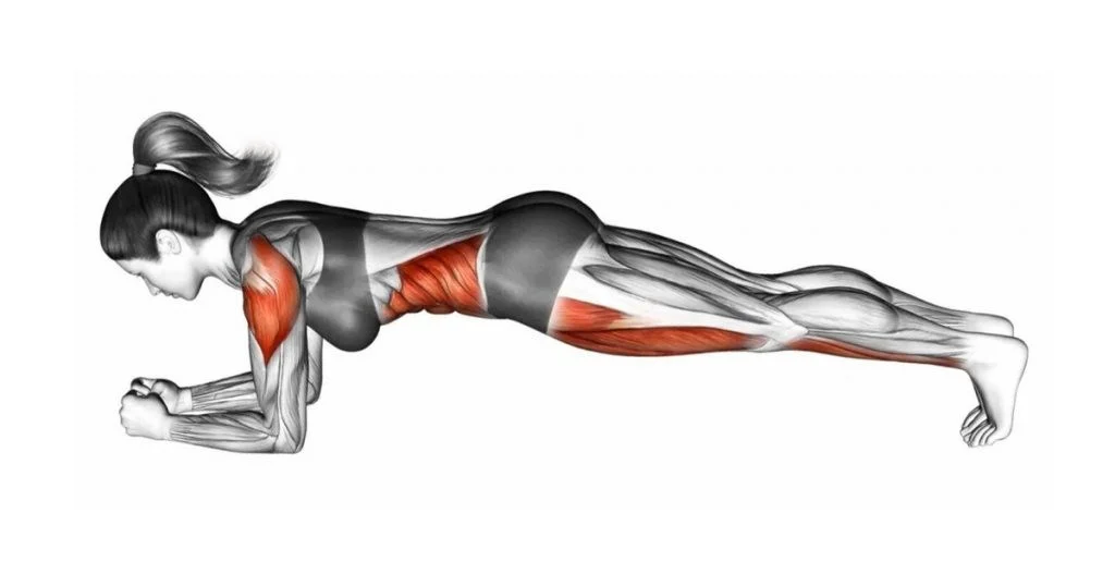 تمرين بلانك