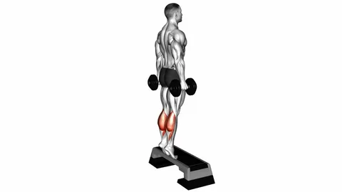 Standing Calf Raise
