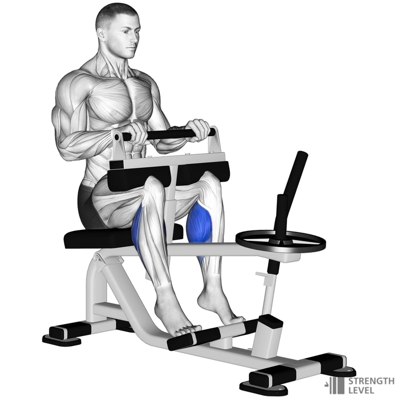 Seated Calf Raise